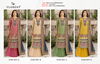Florent 1027 A To D Organza Embroidered Pakistani Salwar Kameez Wholesale Price